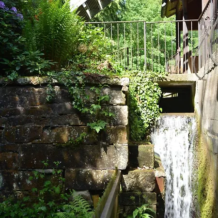 아파트 Historische Wassermuehle Im Wald Mit Wasserfall 아펠레른