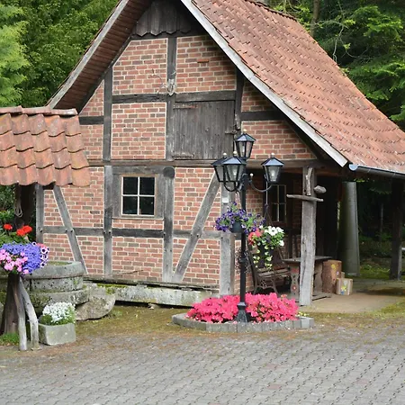 아파트 Historische Wassermuehle Im Wald Mit Wasserfall *