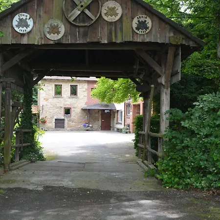 Historische Wassermuehle Im Wald Mit Wasserfall Appartement Apelern