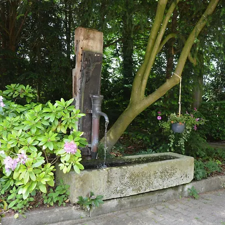 Appartement Historische Wassermuehle Im Wald Mit Wasserfall Apelern